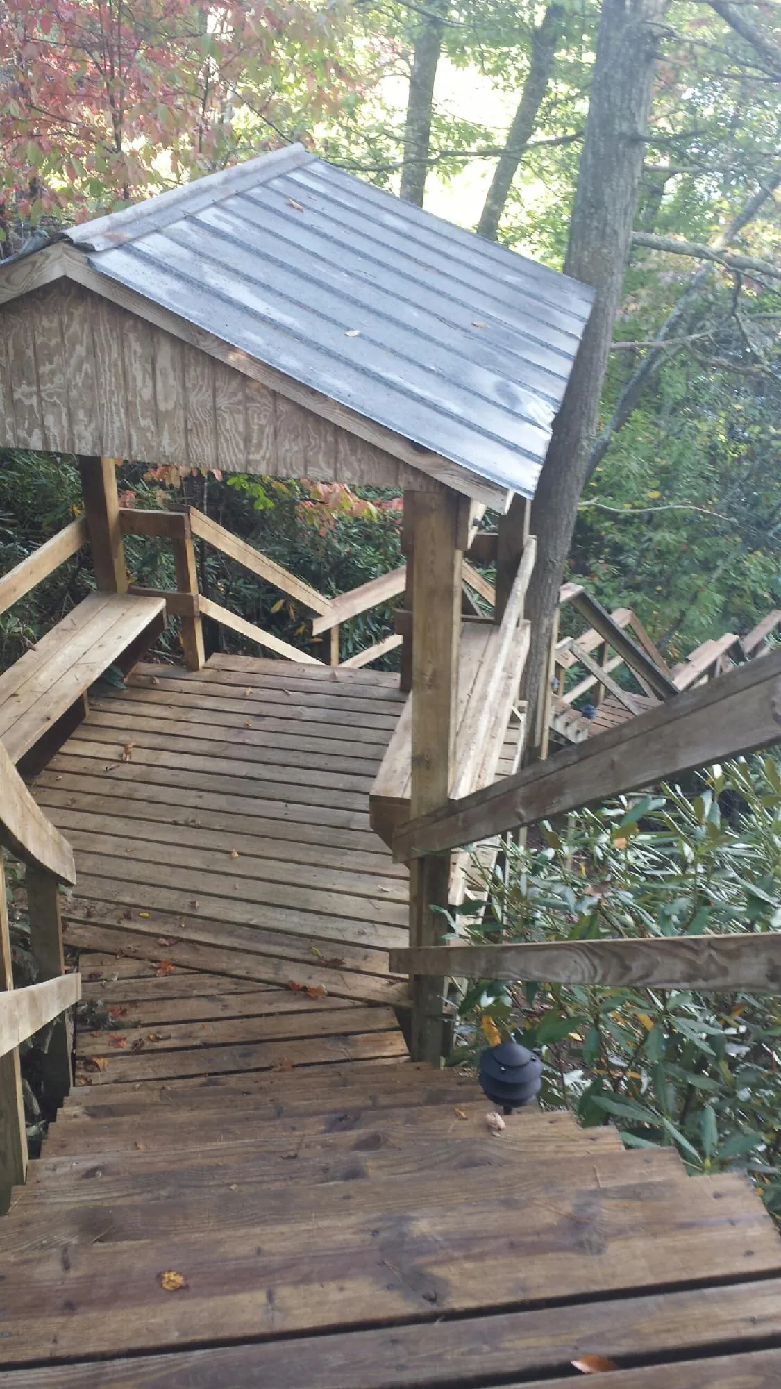 Metal roofed shelter over wooden steps on a wooded walkway in Barco