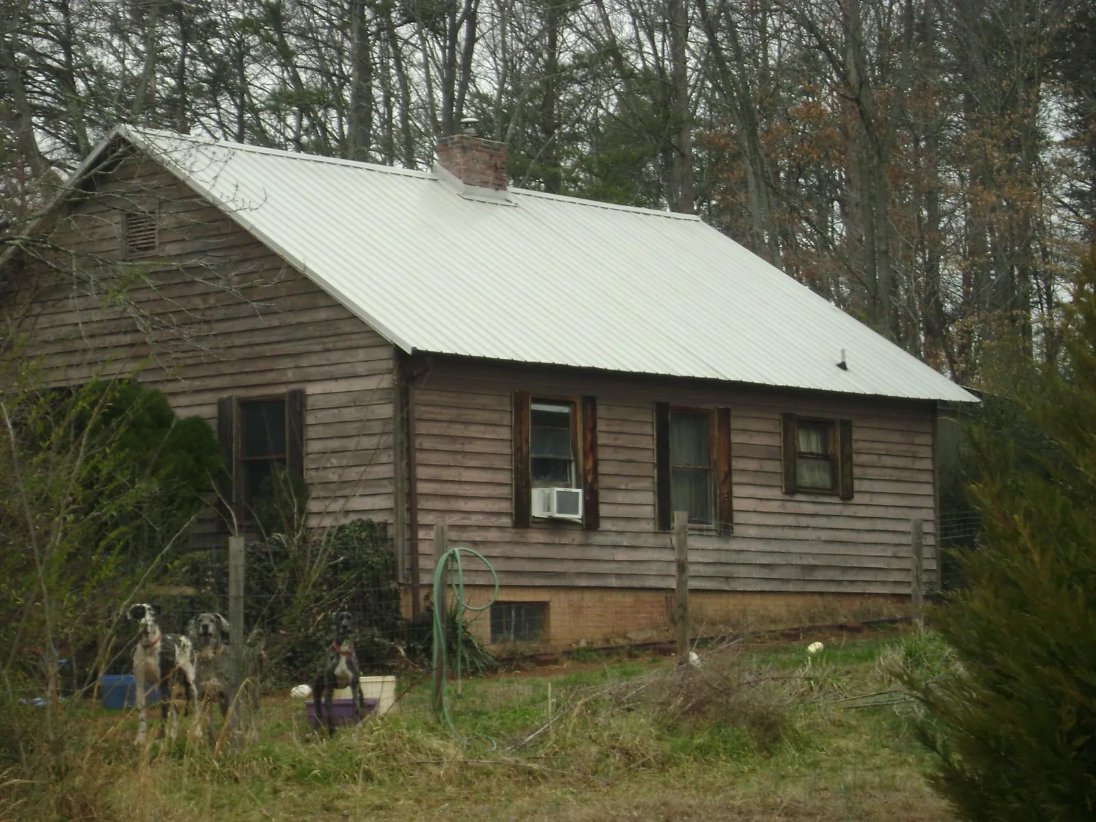 White metal roof on an old wood sided farmhouse, from a Asphalt Shingle Roof Repair job in Barco